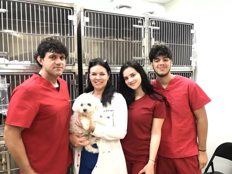 Vet To Pet After Hours Animal Clinic, Florida, Hialeah